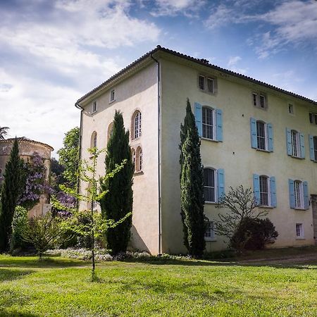 Chateau De Saint Felix Bed and Breakfast Buitenkant foto